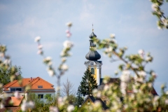 Fotorecht-Tourismusverband-Bad-Blumau_C.-Thomaser
